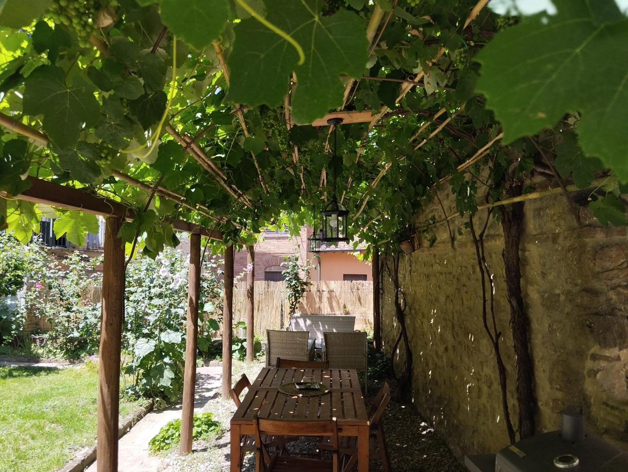 Il Cantuccio- Appartamento In Centro Con Giardino Volterra Kültér fotó
